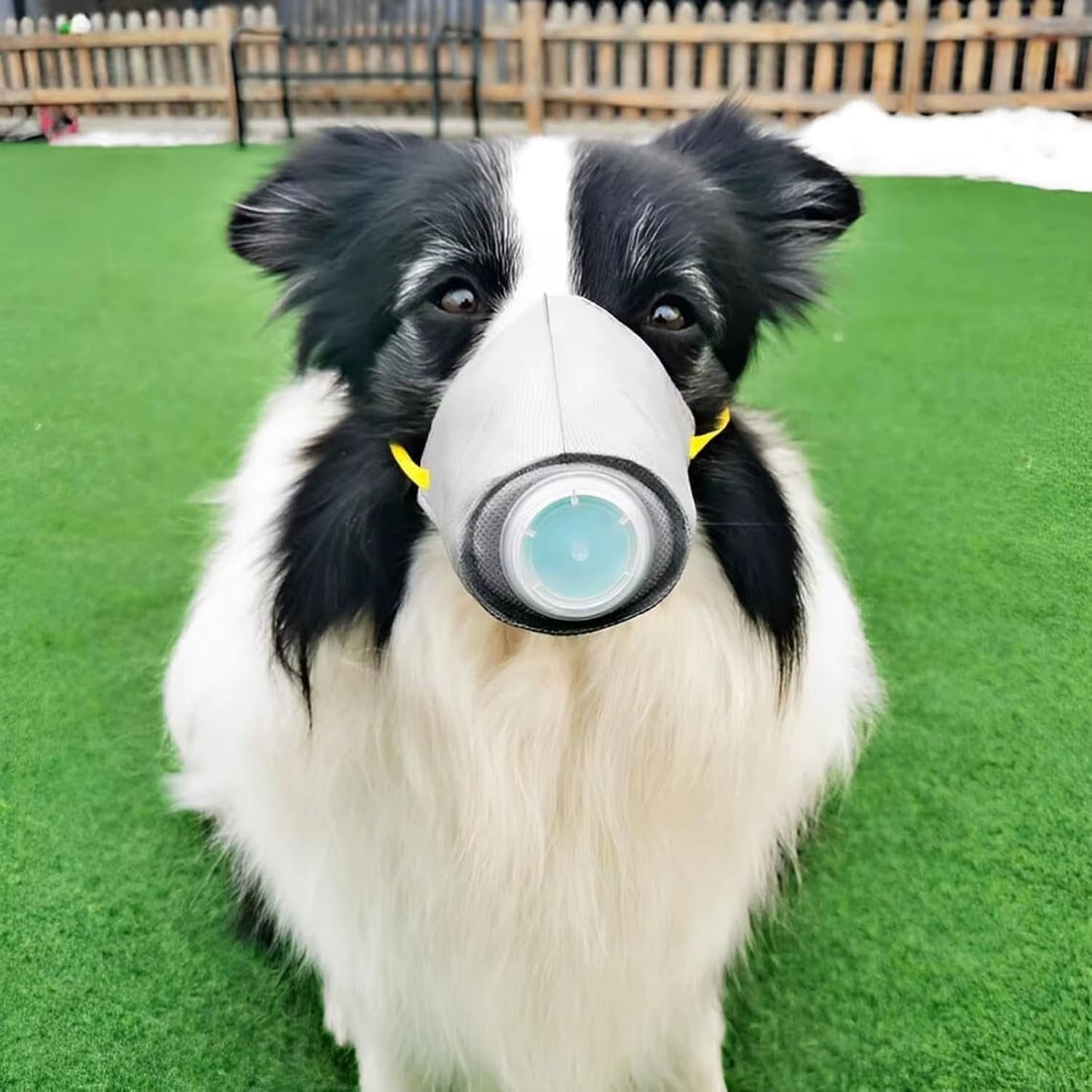 Dog Mask Reusable Breathable Dog Air Filter Mask Adjustable Dog Gas Face Mask Dog Smoke Mask Dog Respirator Mask