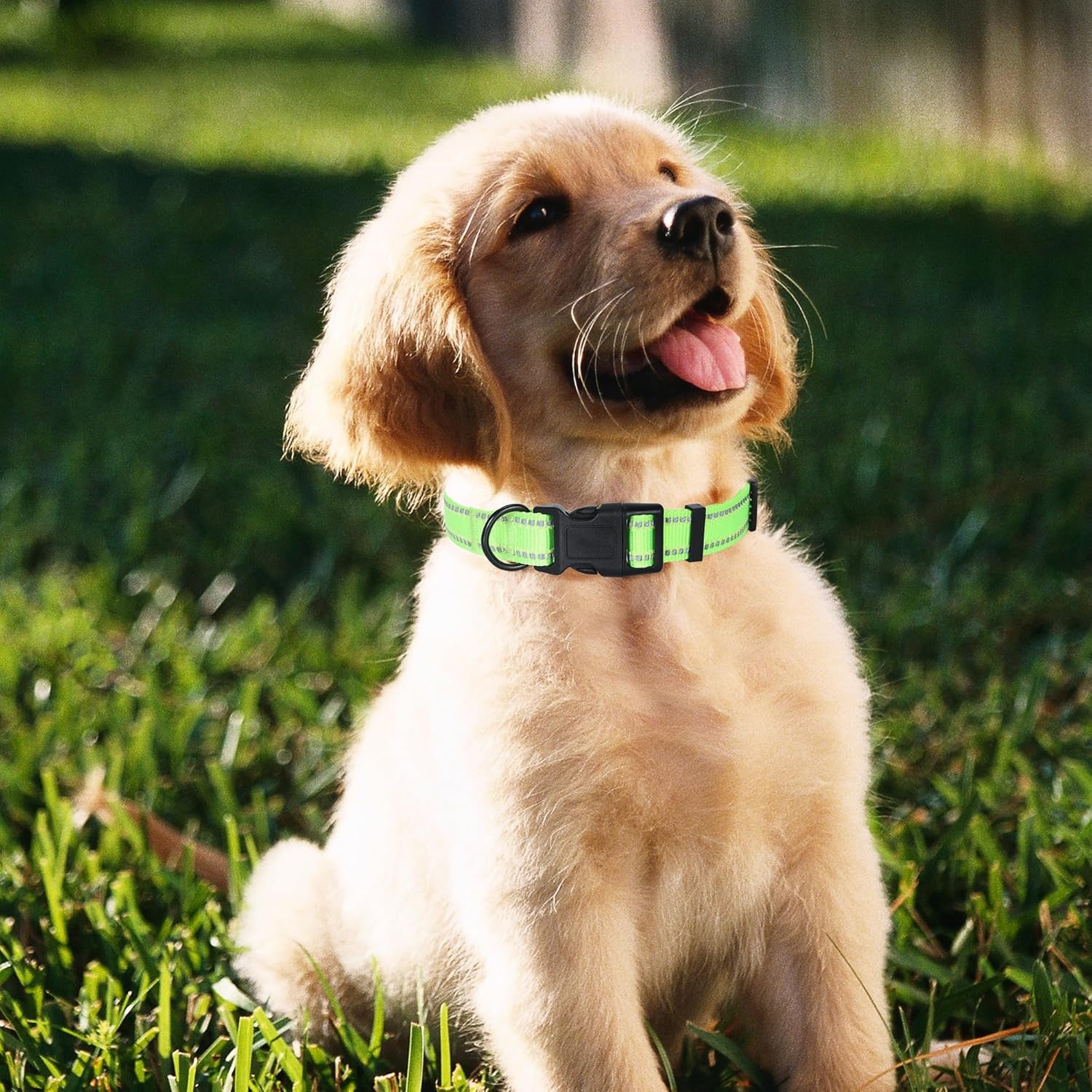 Reflective Dog Collar, Basic Dog Collars Adjustable Quick Release, Soft Nylon Pet Collar with Metal D-Ring for Small Medium Large Dogs (Lime, S Neck11-15